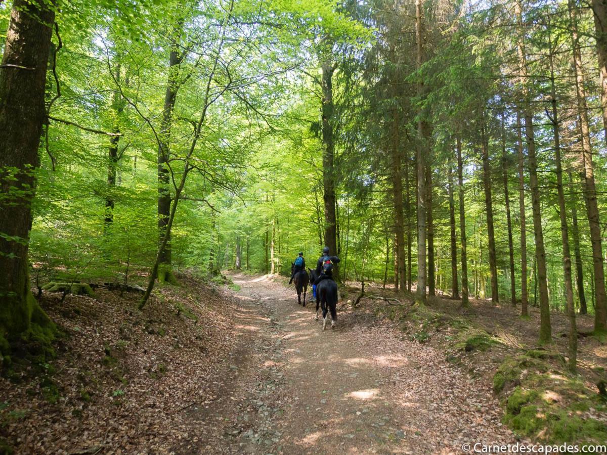 Villa Bonne Entente Donchery Exteriör bild