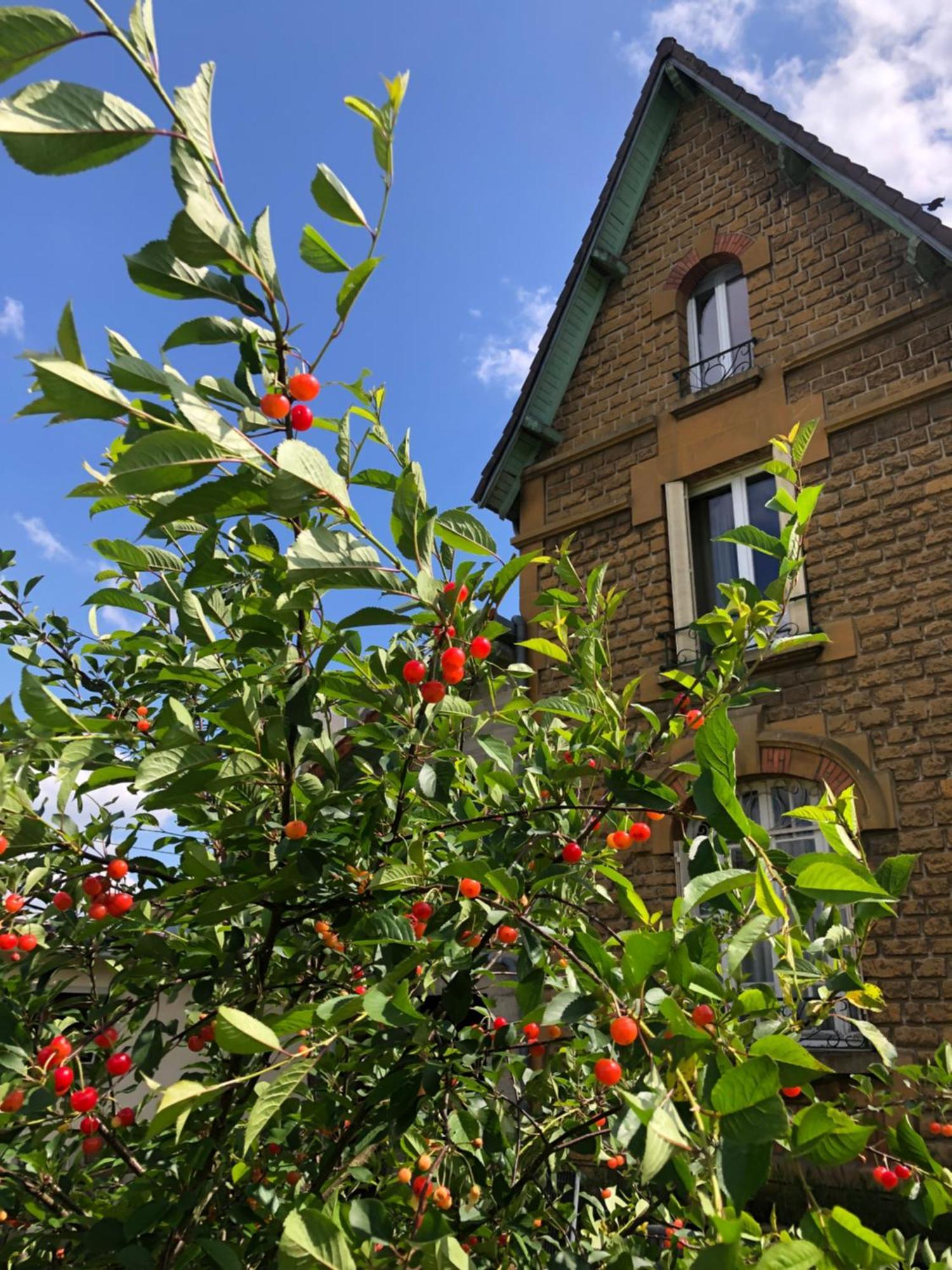 Villa Bonne Entente Donchery Exteriör bild